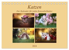Katzen - Der Kalender für jeden Katzenliebhaber (Tischkalender 2024 DIN A5 quer), CALVENDO Monatskalender