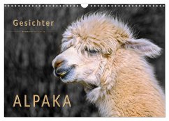 Alpaka Gesichter (Wandkalender 2024 DIN A3 quer), CALVENDO Monatskalender