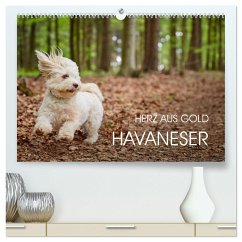 Havaneser - Herz aus Gold (hochwertiger Premium Wandkalender 2024 DIN A2 quer), Kunstdruck in Hochglanz