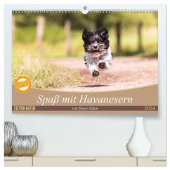 Spaß mit Havanesern (hochwertiger Premium Wandkalender 2024 DIN A2 quer), Kunstdruck in Hochglanz - Teßen, Sonja