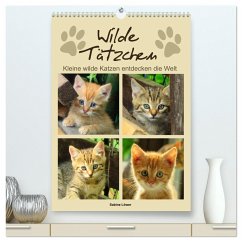Wilde Tätzchen, kleine wilde Katzen entdecken die Welt (hochwertiger Premium Wandkalender 2024 DIN A2 hoch), Kunstdruck in Hochglanz