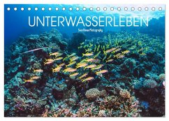 Unterwasserleben (Tischkalender 2024 DIN A5 quer), CALVENDO Monatskalender