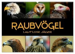 Raubvögel - lautlose Jäger (Wandkalender 2024 DIN A2 quer), CALVENDO Monatskalender