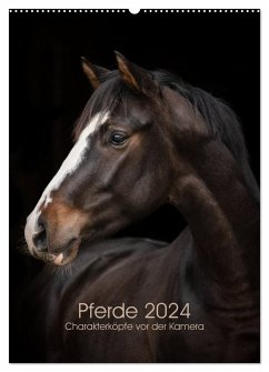 Pferde 2024 - Charakterköpfe vor der Kamera (Wandkalender 2024 DIN A2 hoch), CALVENDO Monatskalender - Müller, Paula