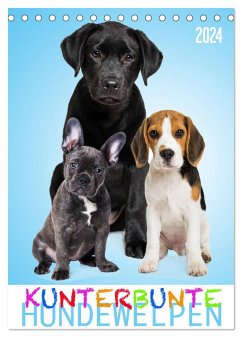 Kunterbunte Hundewelpen (Tischkalender 2024 DIN A5 hoch), CALVENDO Monatskalender