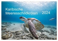 Karibische Meeresschildkröten (Wandkalender 2024 DIN A3 quer), CALVENDO Monatskalender - & Tilo Kühnast - naturepics, Yvonne
