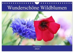 Wunderschöne Wildblumen (Wandkalender 2024 DIN A4 quer), CALVENDO Monatskalender