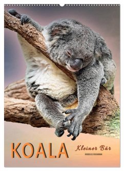 Koala, kleiner Bär (Wandkalender 2024 DIN A2 hoch), CALVENDO Monatskalender