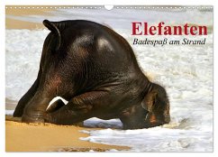 Elefanten. Badespaß am Strand (Wandkalender 2024 DIN A3 quer), CALVENDO Monatskalender