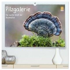 Pilzgalerie - Die bunte Welt der Baumpilze (hochwertiger Premium Wandkalender 2024 DIN A2 quer), Kunstdruck in Hochglanz - Wurster, Beate
