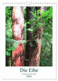 Die Eibe - Der sagenumwobene Baum (Wandkalender 2024 DIN A4 hoch), CALVENDO Monatskalender - Schimmack, Claudia