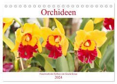 Orchideen Feuerwerk der Farben (Tischkalender 2024 DIN A5 quer), CALVENDO Monatskalender - Kruse, Gisela