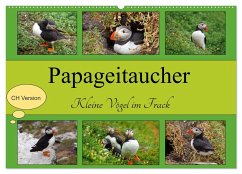 Papageitaucher Kleine Vögel im Frack CH Version (Wandkalender 2024 DIN A2 quer), CALVENDO Monatskalender - Paul - Babett's Bildergalerie, Babett