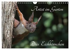 Artist im Garten. Das Eichhörnchen (Wandkalender 2024 DIN A4 quer), CALVENDO Monatskalender