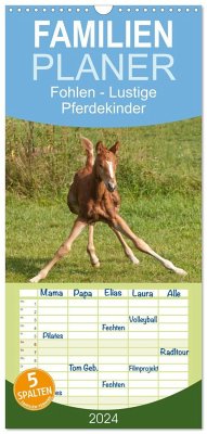 Familienplaner 2024 - Fohlen - Lustige Pferdekinder mit 5 Spalten (Wandkalender, 21 x 45 cm) CALVENDO - Bölts, Meike