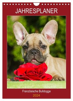 Jahresplaner Französische Bulldogge (Wandkalender 2024 DIN A4 hoch), CALVENDO Monatskalender