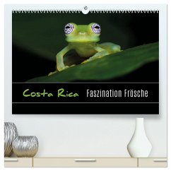 Costa Rica - Faszination Frösche (hochwertiger Premium Wandkalender 2024 DIN A2 quer), Kunstdruck in Hochglanz