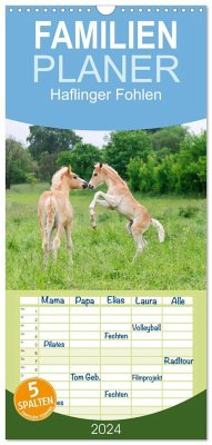 Familienplaner 2024 - Haflinger Fohlen mit 5 Spalten (Wandkalender, 21 x 45 cm) CALVENDO