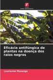 Eficácia antifúngica de plantas na doença dos raios negros