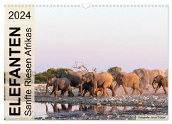 Elefanten - Sanfte Riesen Afrikas (Wandkalender 2024 DIN A3 quer), CALVENDO Monatskalender - Trüssel, Silvia