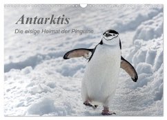 Antarktis, die eisige Heimat der Pinguine (Wandkalender 2024 DIN A3 quer), CALVENDO Monatskalender