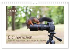 Eichhörnchen - Hast du Nüsschen mache ich Männchen (Wandkalender 2024 DIN A4 quer), CALVENDO Monatskalender