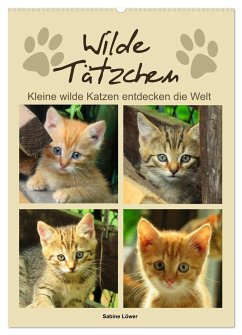 Wilde Tätzchen, kleine wilde Katzen entdecken die Welt (Wandkalender 2024 DIN A2 hoch), CALVENDO Monatskalender