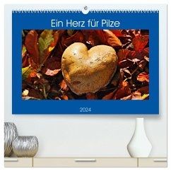Ein Herz für Pilze (hochwertiger Premium Wandkalender 2024 DIN A2 quer), Kunstdruck in Hochglanz