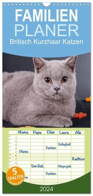 Familienplaner 2024 - Britisch Kurzhaar Katzen mit 5 Spalten (Wandkalender, 21 x 45 cm) CALVENDO