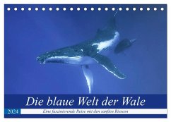 Die blaue Welt der Wale (Tischkalender 2024 DIN A5 quer), CALVENDO Monatskalender - Travelpixx.com
