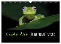 Costa Rica - Faszination Frösche (Wandkalender 2024 DIN A3 quer), CALVENDO Monatskalender