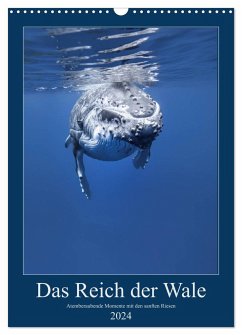 Im Reich der Wale (Wandkalender 2024 DIN A3 hoch), CALVENDO Monatskalender