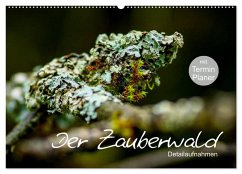 Der Zauberwald - Detailaufnahmen mit Planer (Wandkalender 2024 DIN A2 quer), CALVENDO Monatskalender