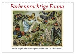 Farbenprächtige Fauna. Fische, Vögel, Schmetterlinge in Grafiken des 19 Jahrhunderts (Wandkalender 2024 DIN A3 quer), CALVENDO Monatskalender