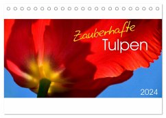 Zauberhafte Tulpen (Tischkalender 2024 DIN A5 quer), CALVENDO Monatskalender
