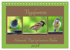 Vogelporträts - Heimische Vögel auf meinem Balkon (Tischkalender 2024 DIN A5 quer), CALVENDO Monatskalender