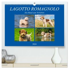 Lagotto Romagnolo - Ein Hund zum Verlieben (hochwertiger Premium Wandkalender 2024 DIN A2 quer), Kunstdruck in Hochglanz
