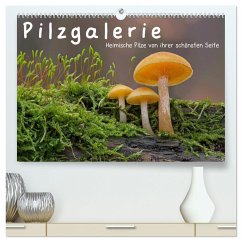 Pilzgalerie - Heimische Pilze von ihrer schönsten Seite (hochwertiger Premium Wandkalender 2024 DIN A2 quer), Kunstdruck in Hochglanz