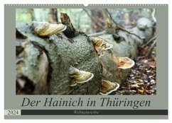 Der Hainich in Thüringen - Weltnaturerbe (Wandkalender 2024 DIN A2 quer), CALVENDO Monatskalender - Flori0