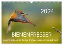 Bienenfresser, unsere farbenprächtigsten Sommergäste in Deutschland (Wandkalender 2024 DIN A3 quer), CALVENDO Monatskalender - Will, Thomas