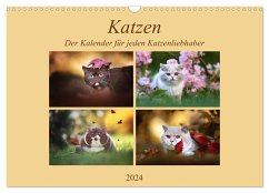 Katzen - Der Kalender für jeden Katzenliebhaber (Wandkalender 2024 DIN A3 quer), CALVENDO Monatskalender