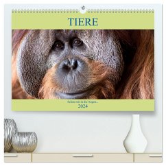 Tiere Schau mir in die Augen (hochwertiger Premium Wandkalender 2024 DIN A2 quer), Kunstdruck in Hochglanz - Joecks, Armin