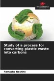 Study of a process for converting plastic waste into carbons