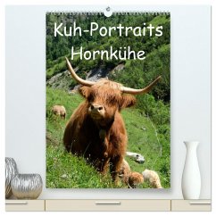 Kuhportraits Hornkühe (hochwertiger Premium Wandkalender 2024 DIN A2 hoch), Kunstdruck in Hochglanz