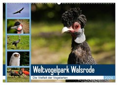 Weltvogelpark Walsrode - Die Vielfalt der Vogelarten (Wandkalender 2024 DIN A2 quer), CALVENDO Monatskalender