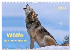 Wölfe - sie sind wieder da (Wandkalender 2024 DIN A3 quer), CALVENDO Monatskalender