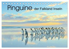 Pinguine der Falkland Inseln (Tischkalender 2024 DIN A5 quer), CALVENDO Monatskalender - Weiß, Elmar