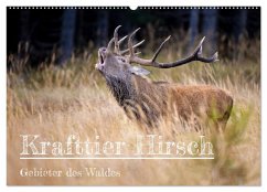 Krafttier Hirsch (Wandkalender 2024 DIN A2 quer), CALVENDO Monatskalender - Johann, Schörkhuber