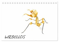 WIRBELLOS (Tischkalender 2024 DIN A5 quer), CALVENDO Monatskalender