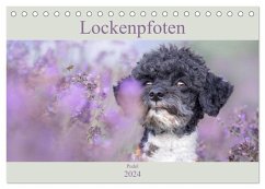 Lockenpfoten 2024 (Tischkalender 2024 DIN A5 quer), CALVENDO Monatskalender